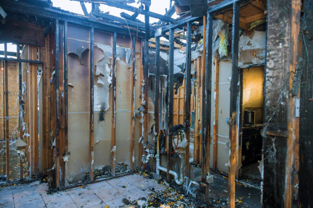 Professional Fire Damage Removal technician working in Sterling Heights, MI